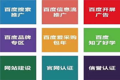 百度推广中的创意策略：成功案例解析与启示